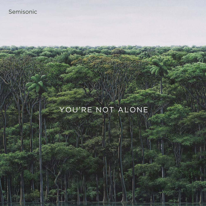 Semisonic You're Not Alone 12" Vinyl EP 2020