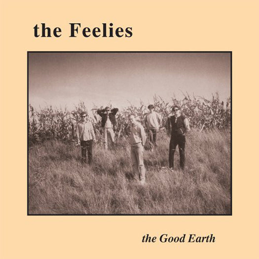 FEELIES GOOD EARTH LP VINYL NEW (US) 33RPM