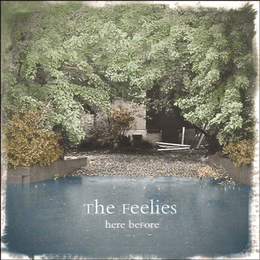 FEELIES HERE BEFORE LP VINYL NEW (US) 33RPM