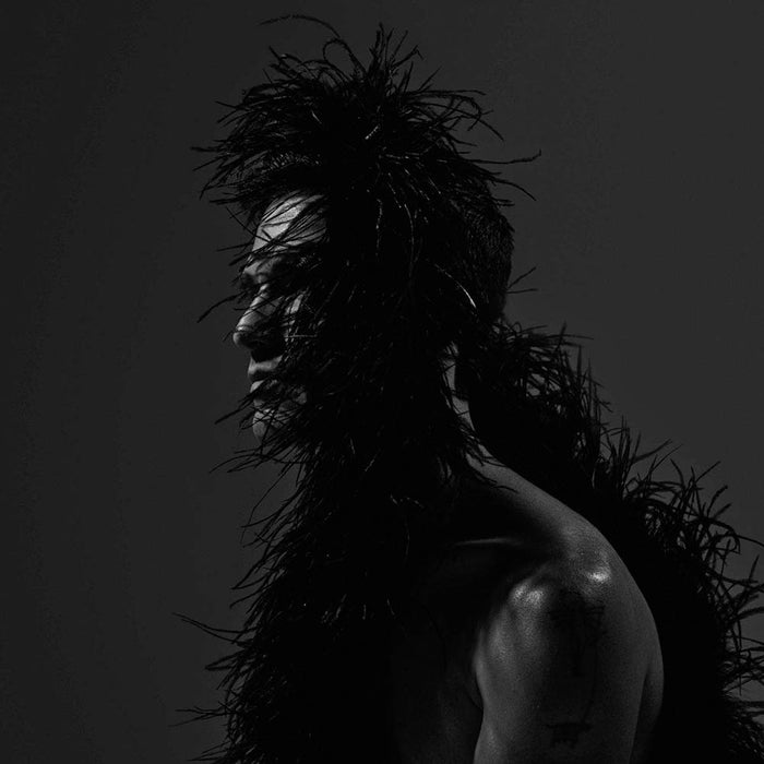 Chris Garneau Yours Vinyl LP New 2019