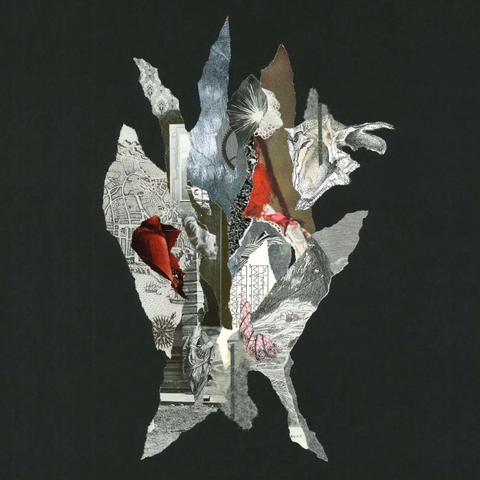 Alas De Liona Gravity Of Gold Vinyl LP 2024