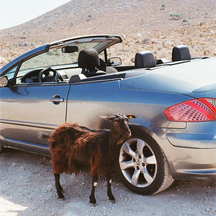 EXEK Prove The Mountains Move Vinyl LP Due Out 27/02/26