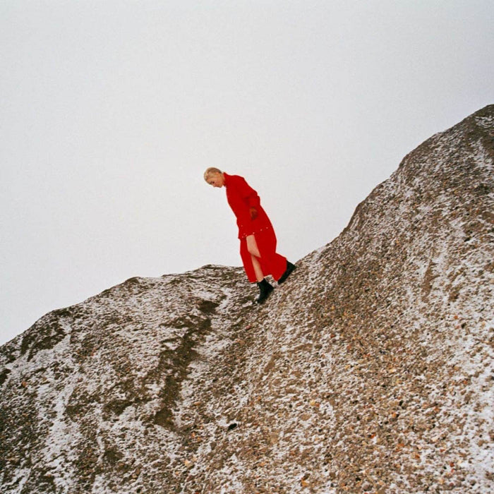 Cate Le Bon Reward Vinyl LP New 2019 Mercury Prize Nominee