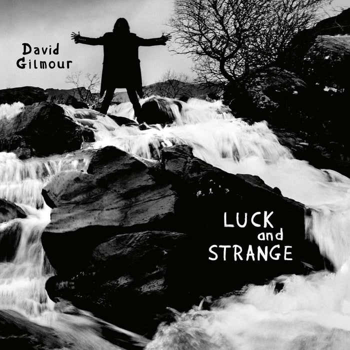 David Gilmour Luck & Strange Vinyl LP 2024