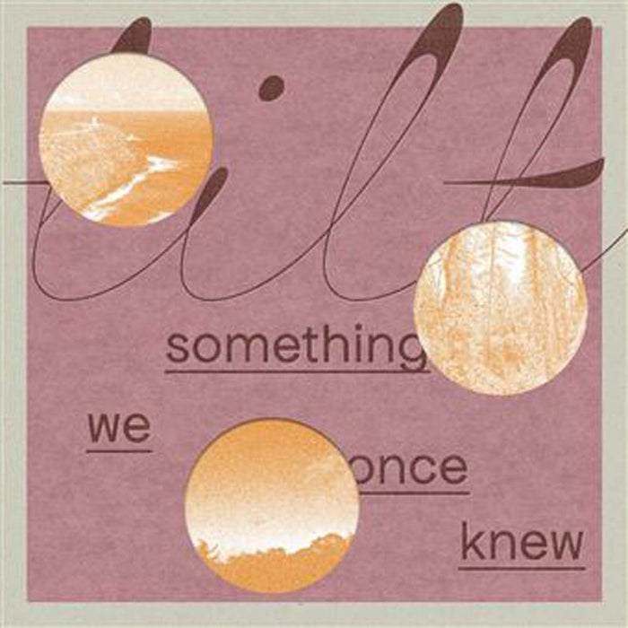 Tilt Something We Once Knew Vinyl LP 2024