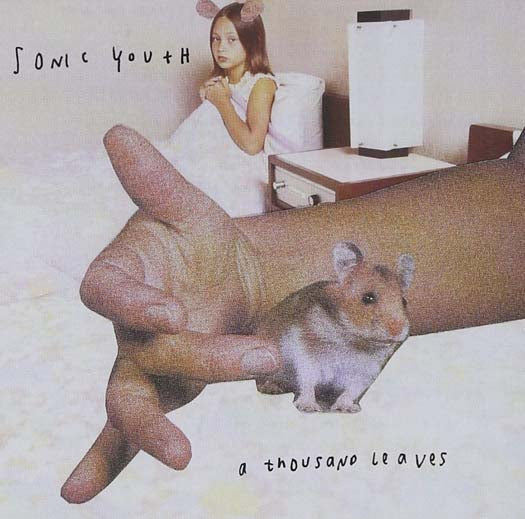 SONIC YOUTH A Thousand Leaves 2LP Vinyl NEW