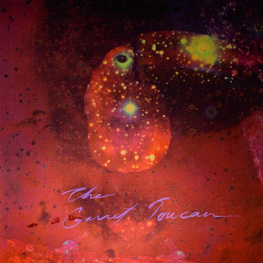 Monopoly Child Star Searchers - The Garnet Toucan Vinyl LP 2012