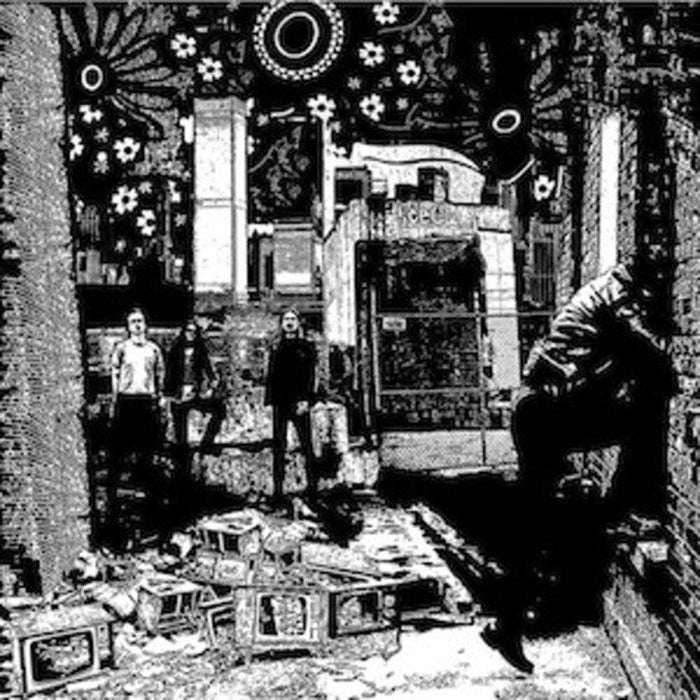 Honey Love Is Hard Vinyl LP 2016