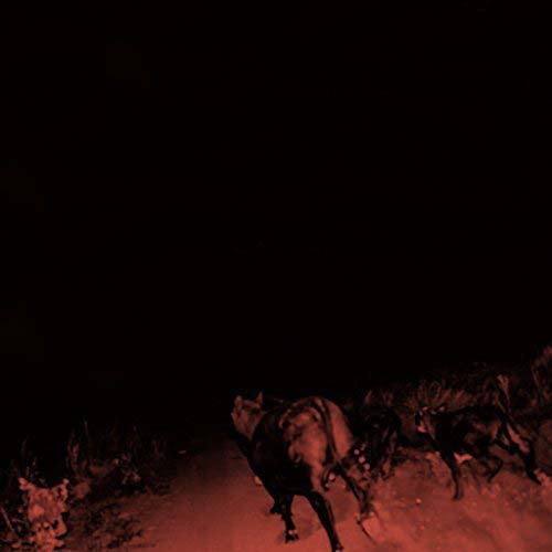 BAMBARA Shadow On Everything LP Vinyl NEW 2018