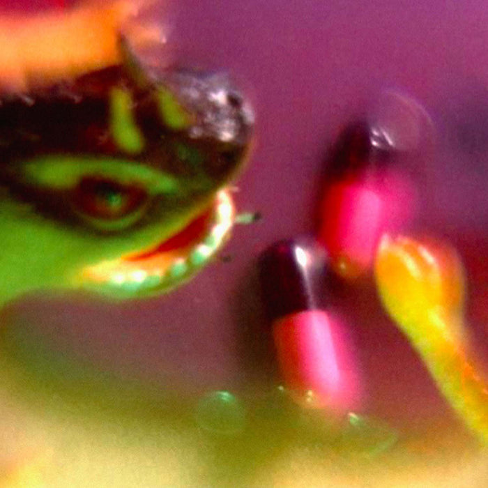 BUSH TETRAS Take the Fall Vinyl LP 2018