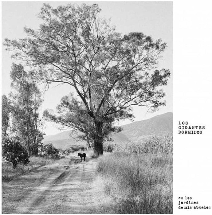 Los Gigantes Dormidos Los Jardines De Mis Abuelos Vinyl LP 2025