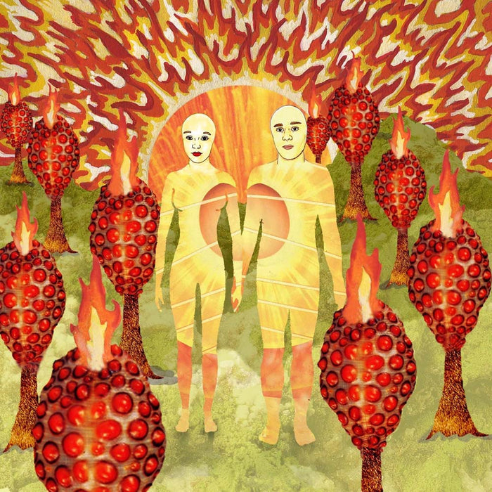 Of Montreal The Sunlandic Twins Vinyl LP Red/Orange Swirl Colour 2024