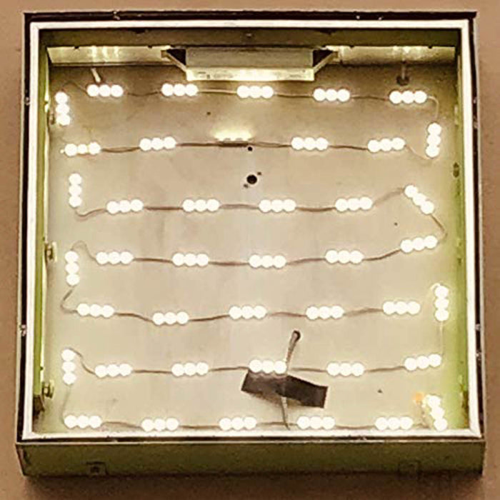 Oso Oso Basking in the Glow Vinyl LP New 2019