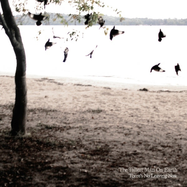 The Tallest Man On Earth There's No Leaving Now Vinyl LP 2012