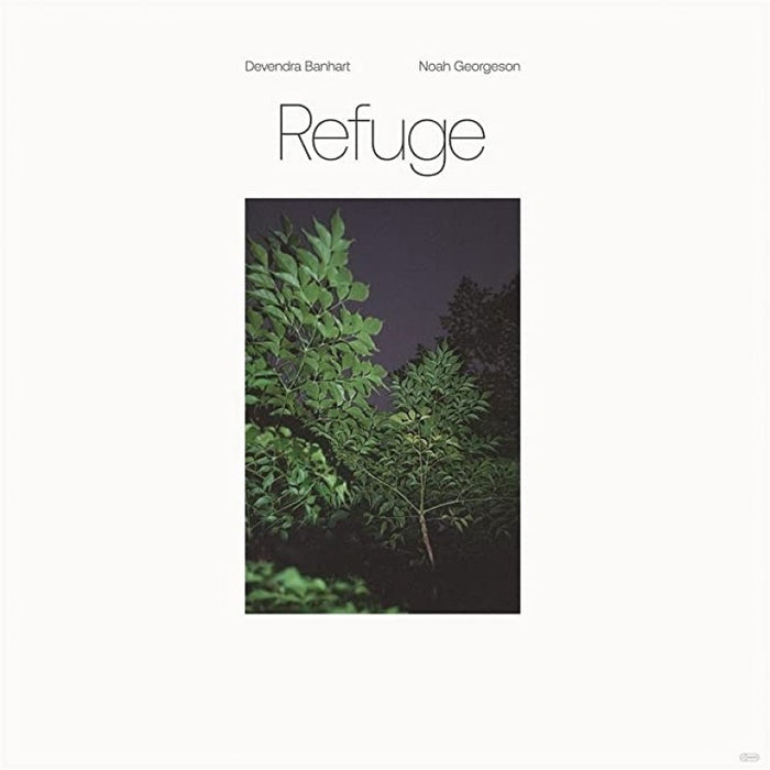 Devendra Banhart & Noah Georgeson Refuge Vinyl LP Blue Seaglass Wave Translucent Colour 2021