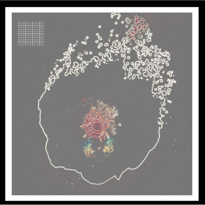 Gates Of Light Gates Of Light II Vinyl LP 2024