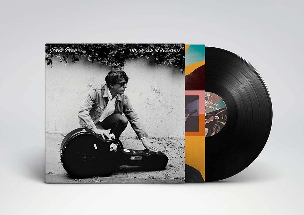 Steve Gunn The Unseen Inbetween Vinyl LP 2019