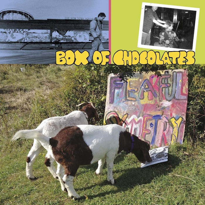 Box Of Chocolates Fearful Symmetry Vinyl LP 2020