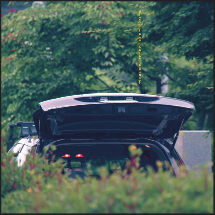 Eiko Ishibashi & Jim O'Rourke Pareidolia Vinyl LP 2025