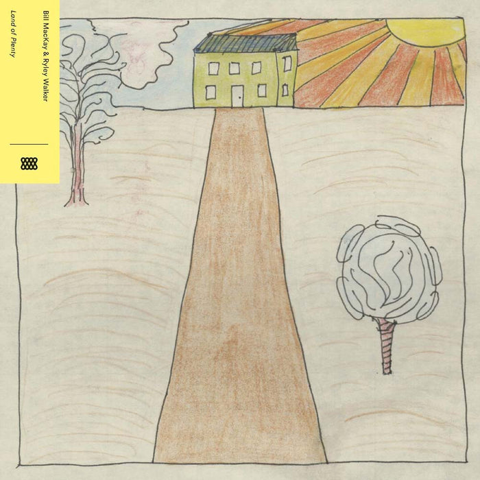 Bill Mackay & Ryley Walker Land Of Plenty Vinyl LP Indies 2025