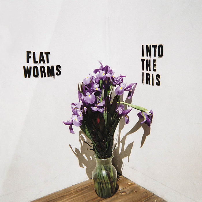 Flat Worms Into the Iris Vinyl EP 2019
