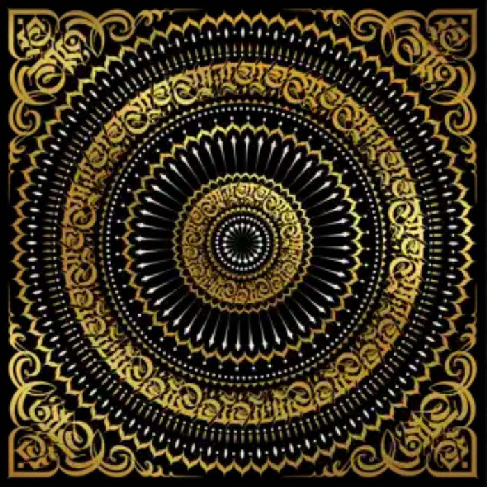 The Gaslamp Killer & Jason Wool Ananda Vinyl LP 2025