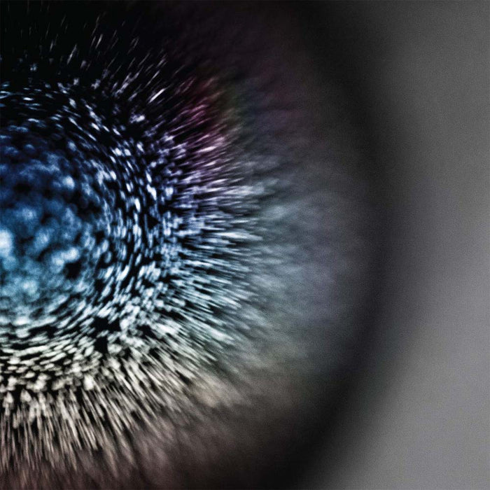 Emptyset Blossoms Vinyl LP 2019