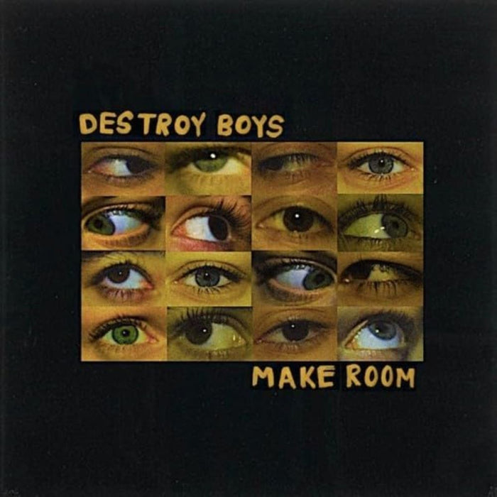 Destroy Boys Make Room Vinyl LP Due Out 13/12/24