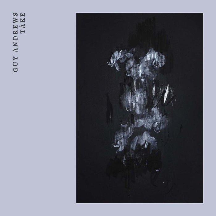 GUY ANDREWS Take Vinyl LP 2017