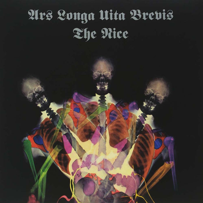 Nice Ars Longa Vita Brevis Vinyl LP