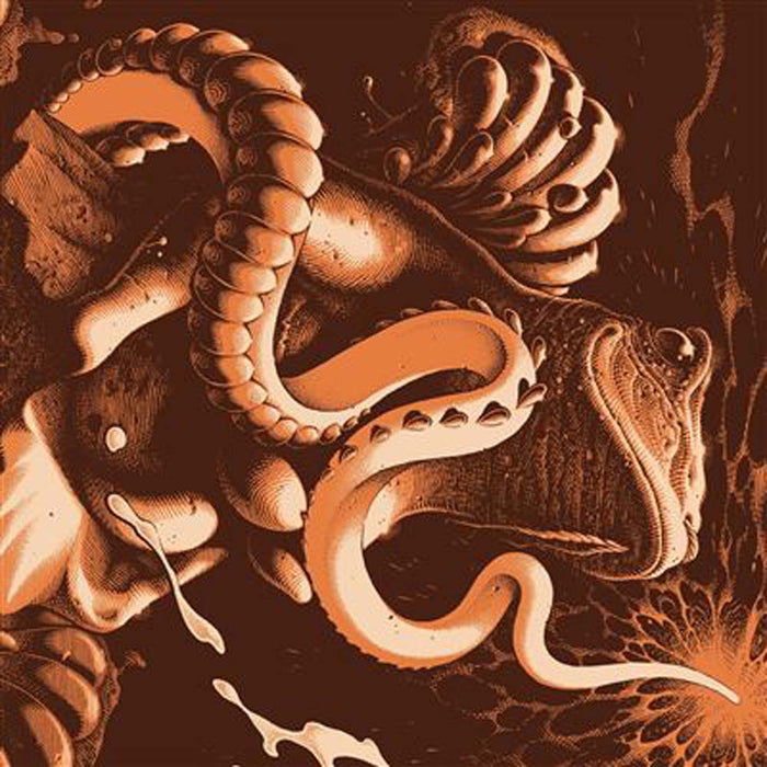Boris Amplifier Worship Vinyl LP 25th Anniversary 2024
