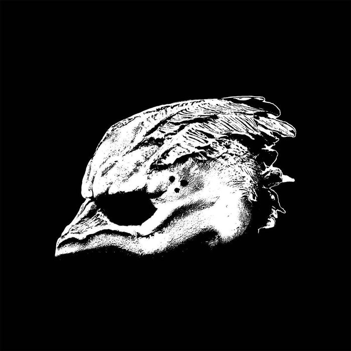 LEGEND OF THE SEAGULLMEN Legend of the... LP Vinyl NEW 2018