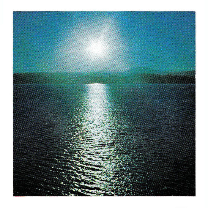 Joanna Brouk The Space Between Vinyl LP New 2019