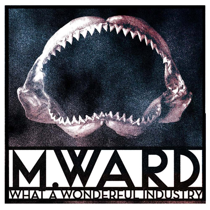 M Ward What A Wonderful Industry Vinyl LP 2019