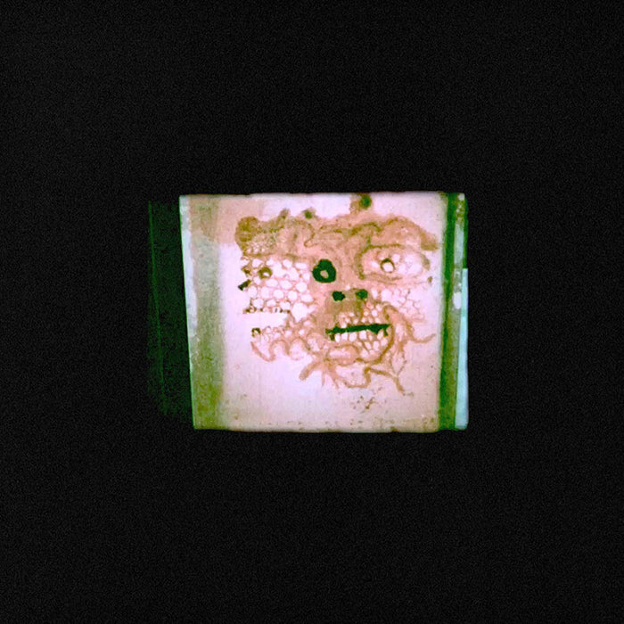 Chris Orrick & The Lasso I Read That I Was Dead Vinyl LP New 2019