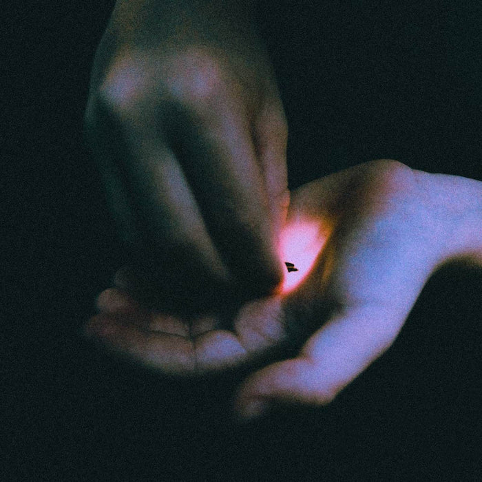 Bambara Stray Vinyl LP 2020