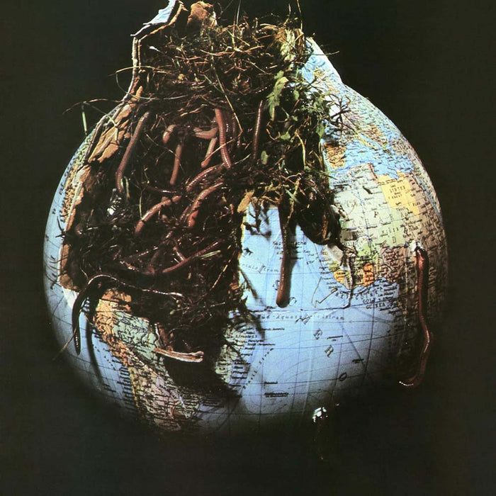 Drosselbart (Self Titled) Vinyl LP 2025