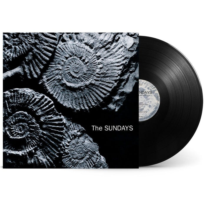 The Sundays Reading, Writing & Arithmetic Vinyl LP Due Out 14/08/26