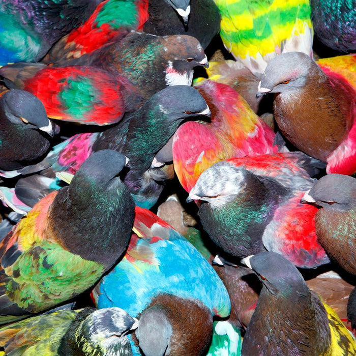 Blawan SickElixir Vinyl LP 2025