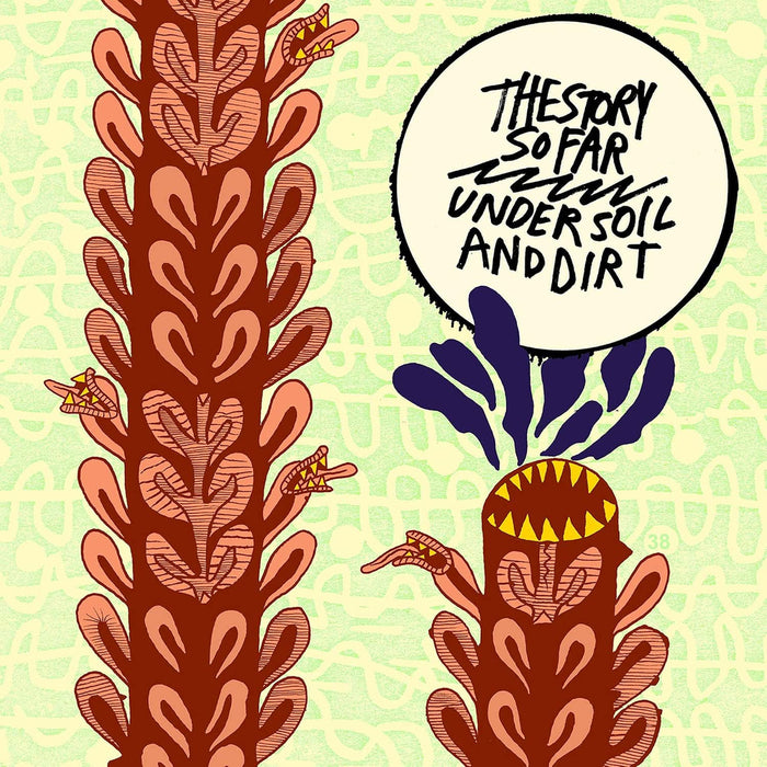 The Story So Far Under Soil And Dirt Vinyl LP Due Out 31/07/26