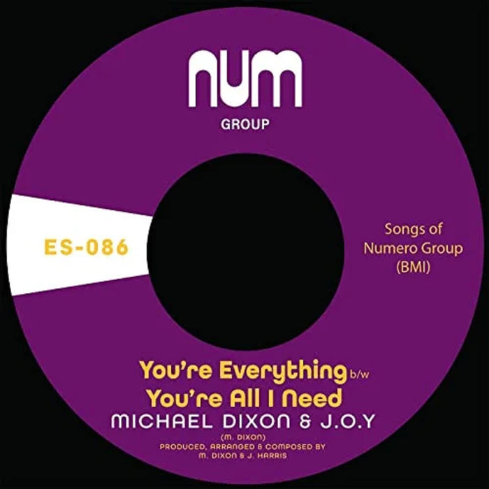 Michael A. Dixon & J.O.Y. You're Everything 7" Vinyl Single 2023