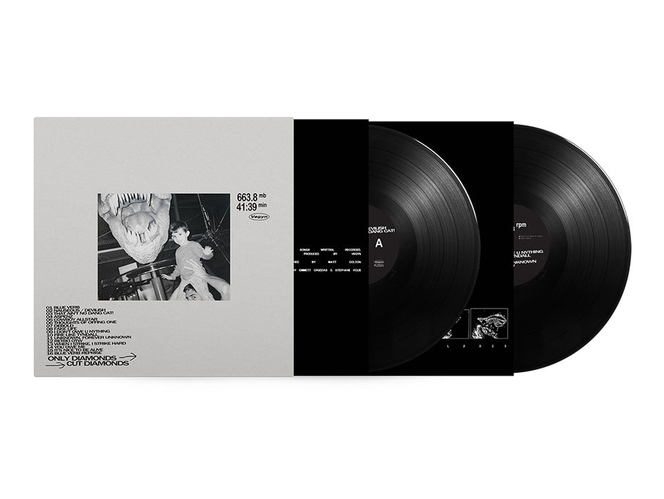 Vegyn Only Diamonds Cut Diamonds Vinyl LP 5th Anniversary 2025