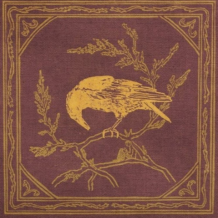 Curiosity Shop Bound For The Sky 10" Vinyl EP Due Out 25/09/26