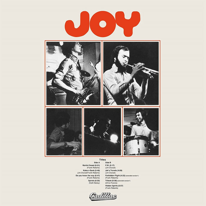 Joy (Self-Titled) Vinyl LP 2023