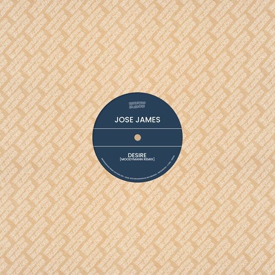Jose James & Ben Westbeech Brownswood Recordings Remix Edition 005 12" Vinyl Single RSD 2025