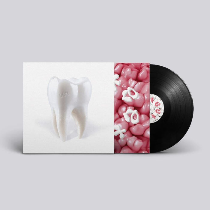 Porij Teething Vinyl LP 2024