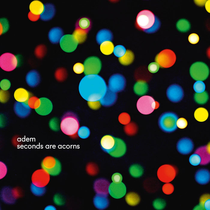 Adem Seconds Are Acorns Vinyl LP 2015