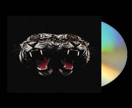 Royal Blood DEAD COMPANY CD Due Out 13/11/26