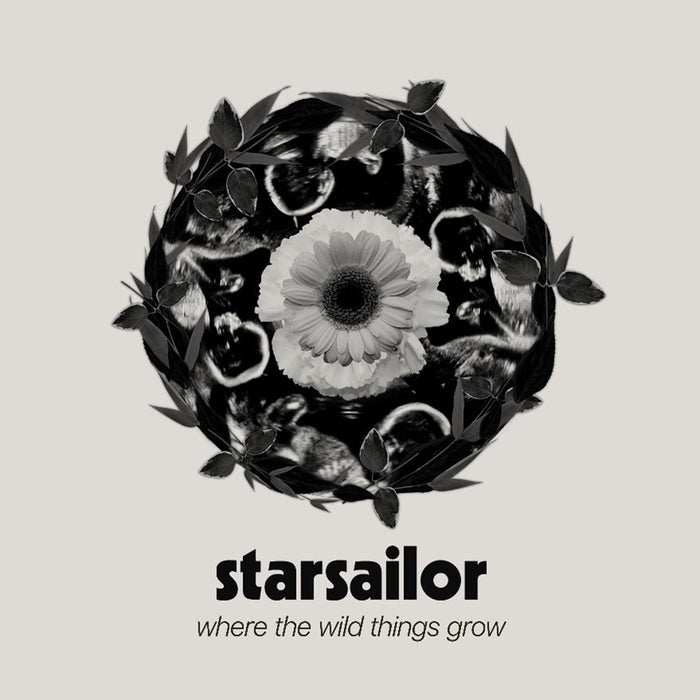 Starsailor Where The Wild Things Grow Vinyl LP 2024