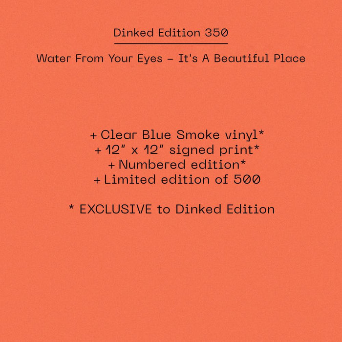 Water From Your Eyes It’s A Beautiful Place Vinyl LP 2025 Ltd Dinked Edition #350